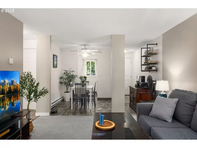 MLS: 528287224 Condo For Sale