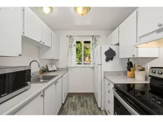 Photo #1: 528287224 Listing 