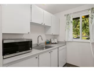 Photo #4: 528287224 Listing 