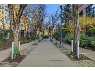 Photo #2: 530383191 Listing 