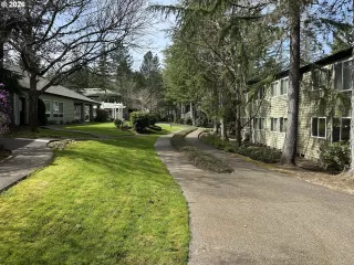 Photo #5: 532862414 Listing 