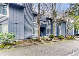 Photo #1: 534042149 Listing 