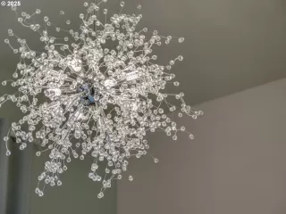 Photo #6: 536733184 Listing 