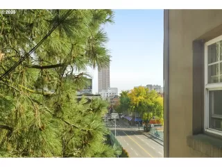 Photo #6: 537802277 Listing