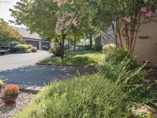 Photo #3: 549318582 Listing 