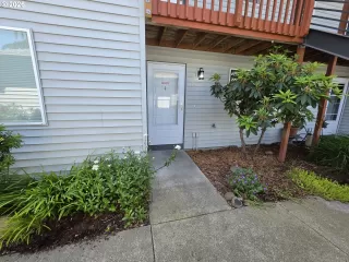 Photo #1: 556683815 Listing 