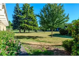 Photo #6: 560182926 Listing