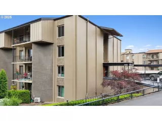 Photo #1: 561128405 Listing