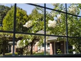 Photo #2: 561176354 Listing