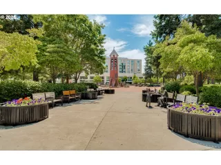 Photo #6: 564545494 Listing