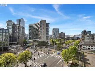 Photo #4: 566861545 Listing 