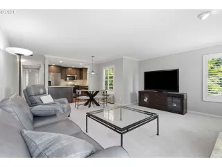 Photo #5: 570899776 Listing 