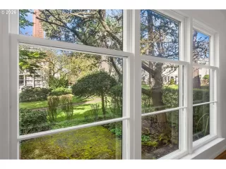 Photo #6: 577713446 Listing 