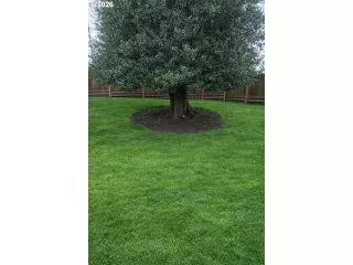 Photo #5: 582503343 Listing 