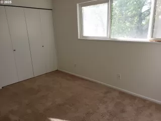 Photo #2: 586219077 Listing