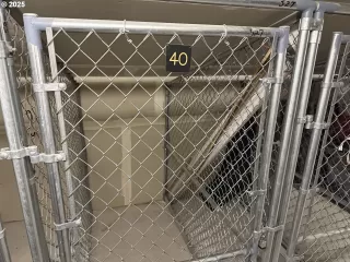 Photo #1: 587300961 Listing