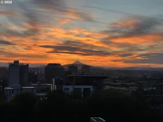 Photo #1: 629099916 Listing 