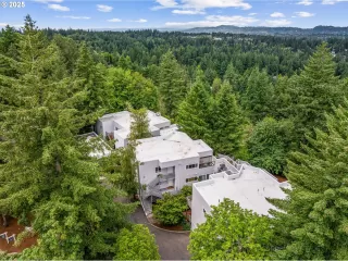 Photo #1: 644663037 Listing