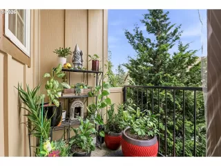 Photo #5: 646677109 Listing