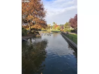 Photo #1: 658117330 Listing 