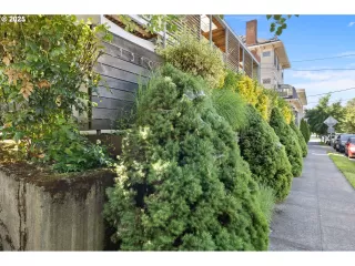 Photo #4: 682074885 Listing 