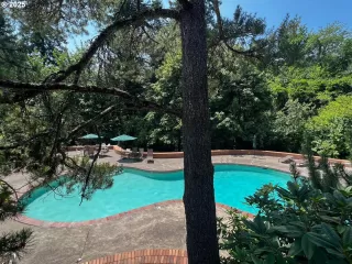 Photo #2: 683598566 Listing 