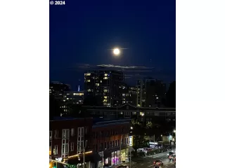 Photo #1: 689221644 Listing