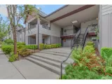 Primary Photo for MLS#: 698850374