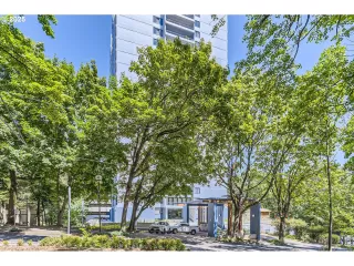 Photo #5: 703223574 Listing 