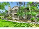 Primary Photo for MLS#: 704913738
