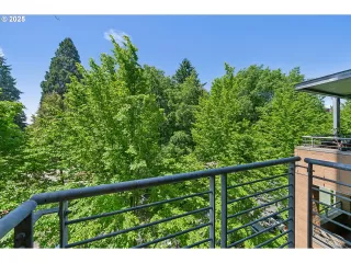 Photo #6: 713073076 Listing 