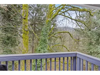 Photo #4: 721846170 Listing 