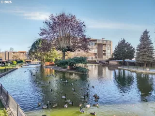 Photo #5: 743331003 Listing 