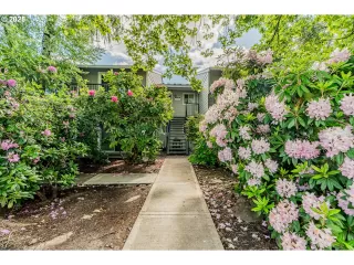 Photo #6: 746592126 Listing 