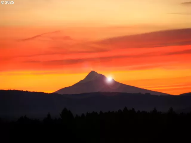 MLS: 793762896 Condo For Sale