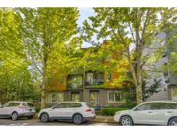 More Details about MLS # 783719113 : 8522 N CENTRAL ST 17-1